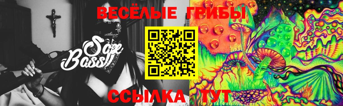 Псилоцибиновые грибы GOLDEN TEACHER Медногорск
