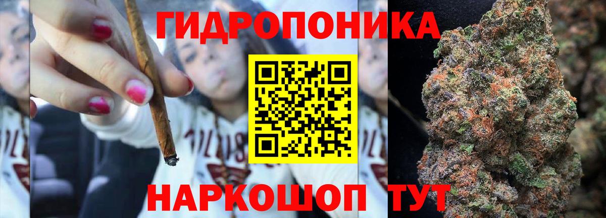 Конопля план Медногорск